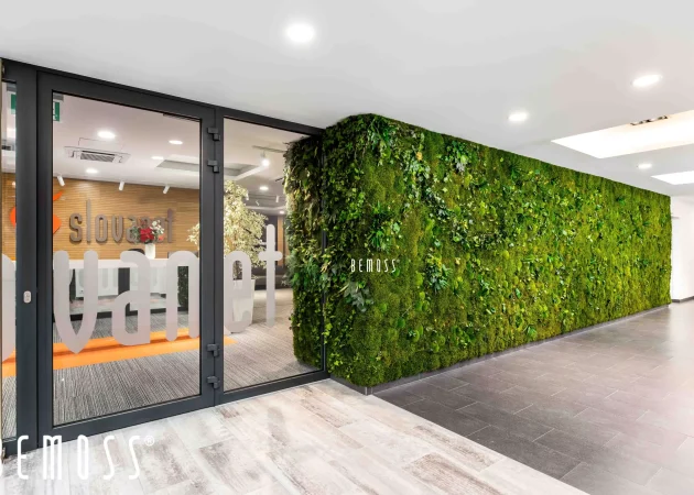 Indoor green wall featuring various plants and the brand name 'BEMOSS' displayed prominently.