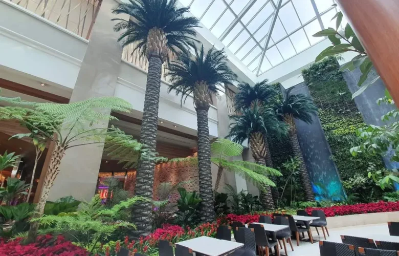 Custom 30-foot preserved palm trees displayed indoors at Solaire Resort Casino Hotel.