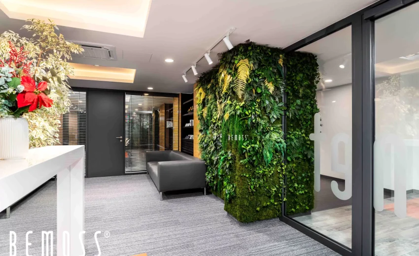Indoor vertical garden featuring lush green plants on a wall in a modern office space.