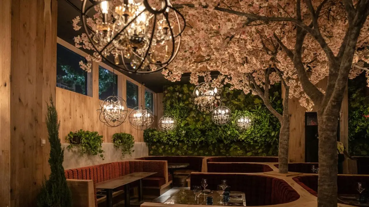Interior view of a restaurant featuring cherry blossom trees and decorative lighting fixtures.