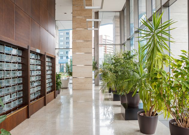 Indoor lobby featuring mailboxes on the wall and various potted plants along the corridor.
