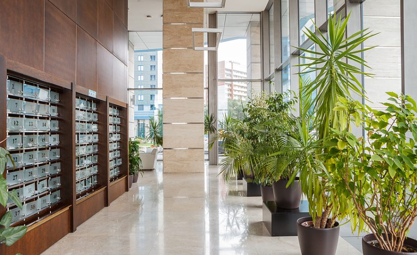 Indoor lobby featuring mailboxes on the wall and various potted plants along the corridor.