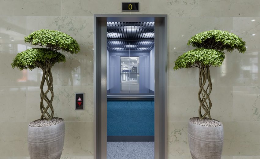 Contemporary elevator entrance featuring decorative potted plants on either side, showcasing a sleek design and modern architecture.
