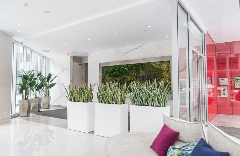 Contemporary lobby featuring indoor plants in white planters, marble walls, and a vibrant red accent wall, creating a fresh atmosphere.