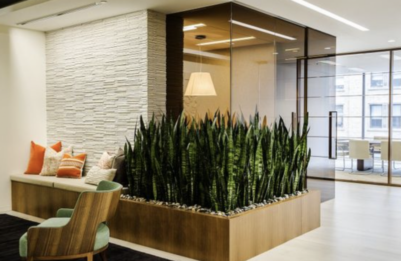 Contemporary office interior featuring a green plant arrangement, cozy seating area, and stylish decor elements for a professional environment.