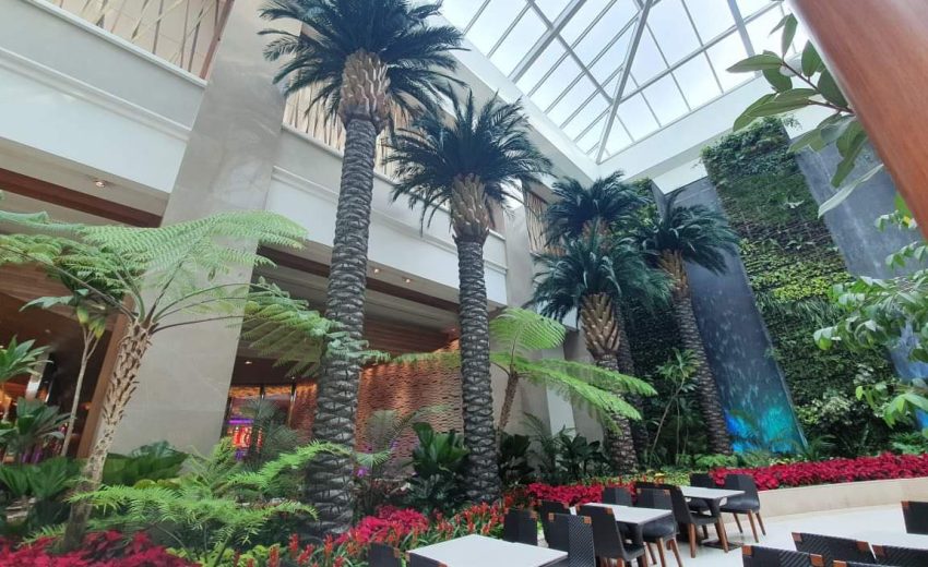 Indoor scene featuring tall palm trees and lush greenery in a modern setting with vibrant plants and seating areas.