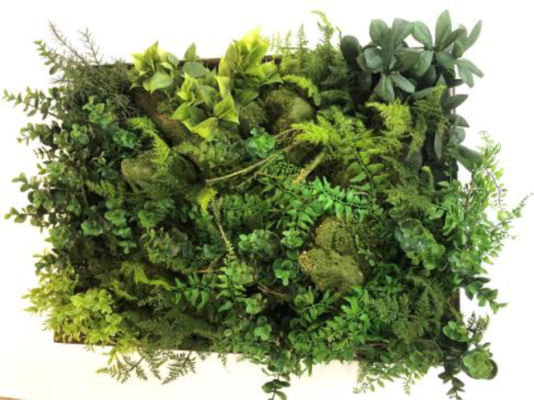 A faux green wall installation featuring various types of greenery and plants arranged closely together.