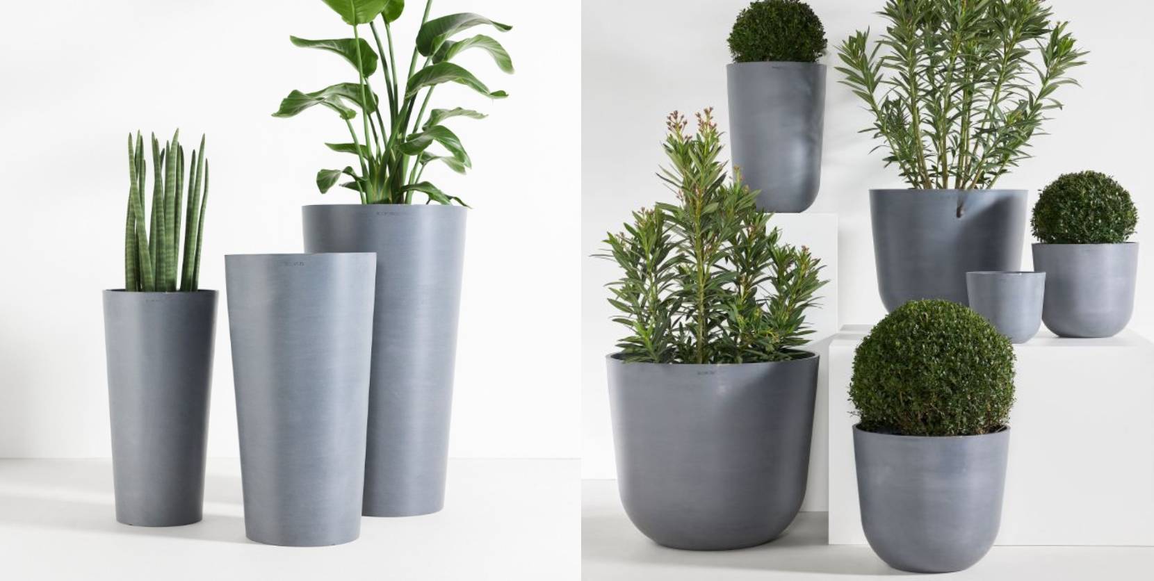 Set of gray planters containing various plants, including tall and round shapes.
