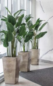 Three decorative planters containing faux travelers palms arranged in a modern indoor setting.
