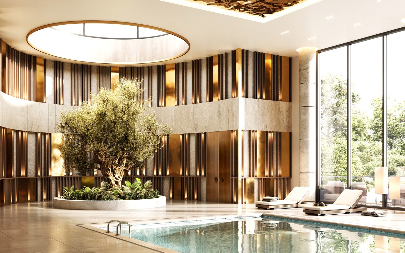 Indoor swimming pool area featuring an olive tree and lounge chairs beside the water.