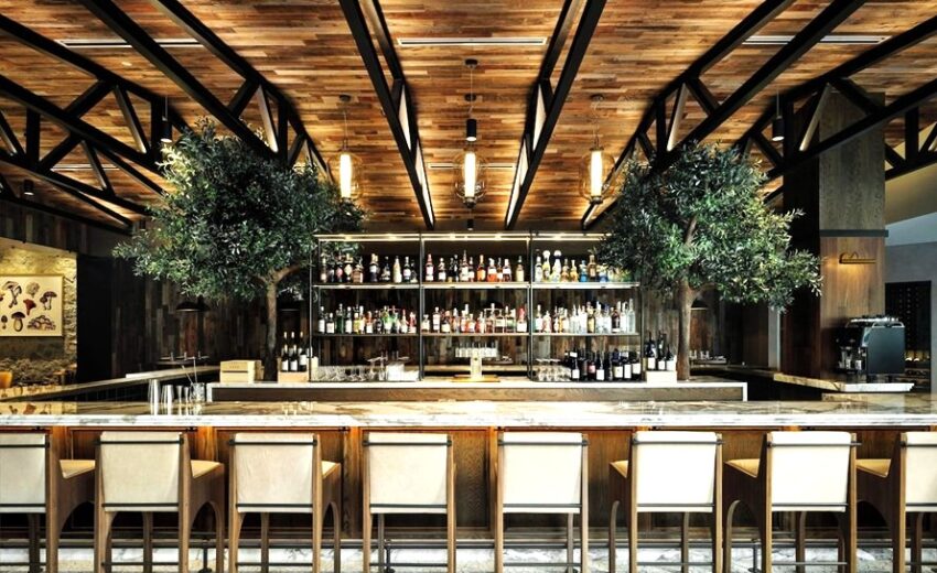 2 fabricated 10 ft Olive trees at Marriott Somm Hotel