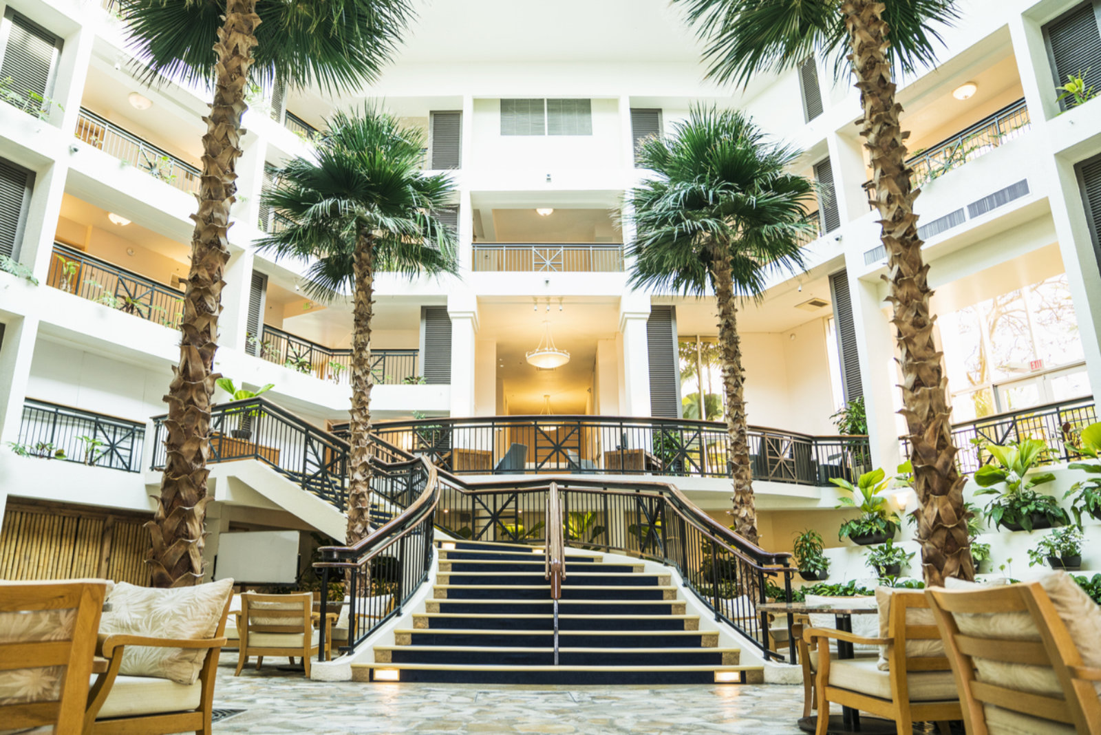 Tall green preserved palms rise beside a bright white atrium stairway, with layered balconies, warm light, and indoor seating in view.
