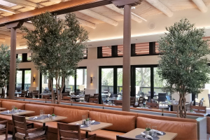 Interior view of a restaurant featuring olive trees and seating arrangements.