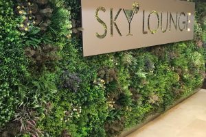 Faux green wall featuring various plants and a sign that reads 'SKY LOUNGE'.