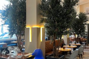 A blue penguin sculpture positioned near olive trees in an indoor setting.