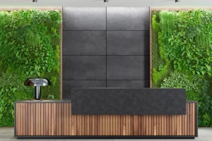 Modern reception desk with a wooden front and a green living wall behind it.