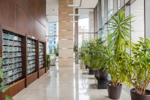 Indoor lobby featuring mailboxes on the wall and various potted plants along the corridor.