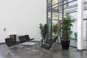 Lobby area featuring black chairs, a glass table, and indoor plants in a modern office setting.