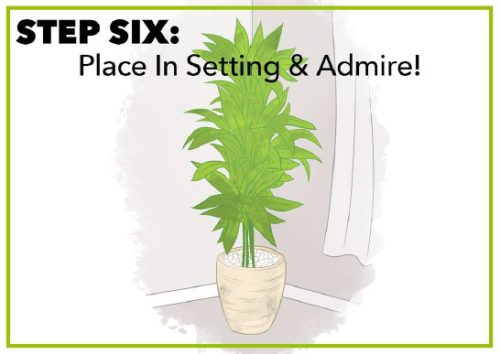 Illustration of a tall green plant in a decorative pot, placed in a corner of a room.